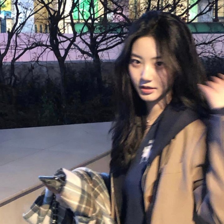 模型姐妹