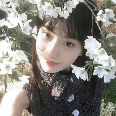 梦之山脉